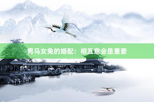 男马女兔的婚配：相互意会是重要